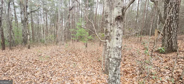a view of backyard with trees