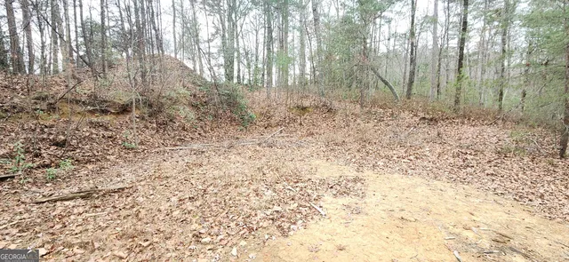 a view of backyard with green space