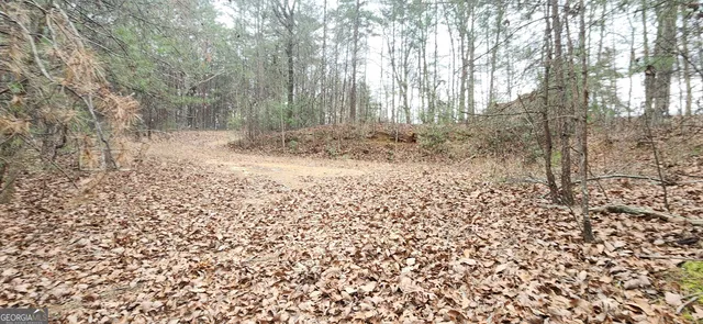 a view of a yard with plants and trees