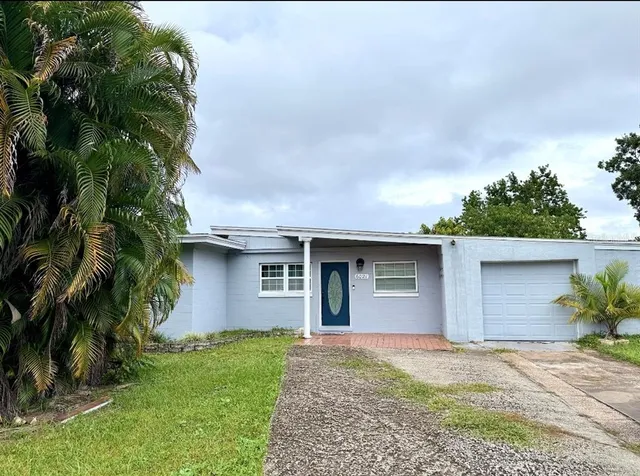 a backyard of a house with plants and trees