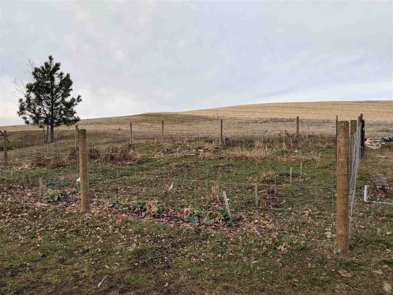 5111 East Spangle Waverly Road Spangle, WA 99031 - Photo 33 of 40