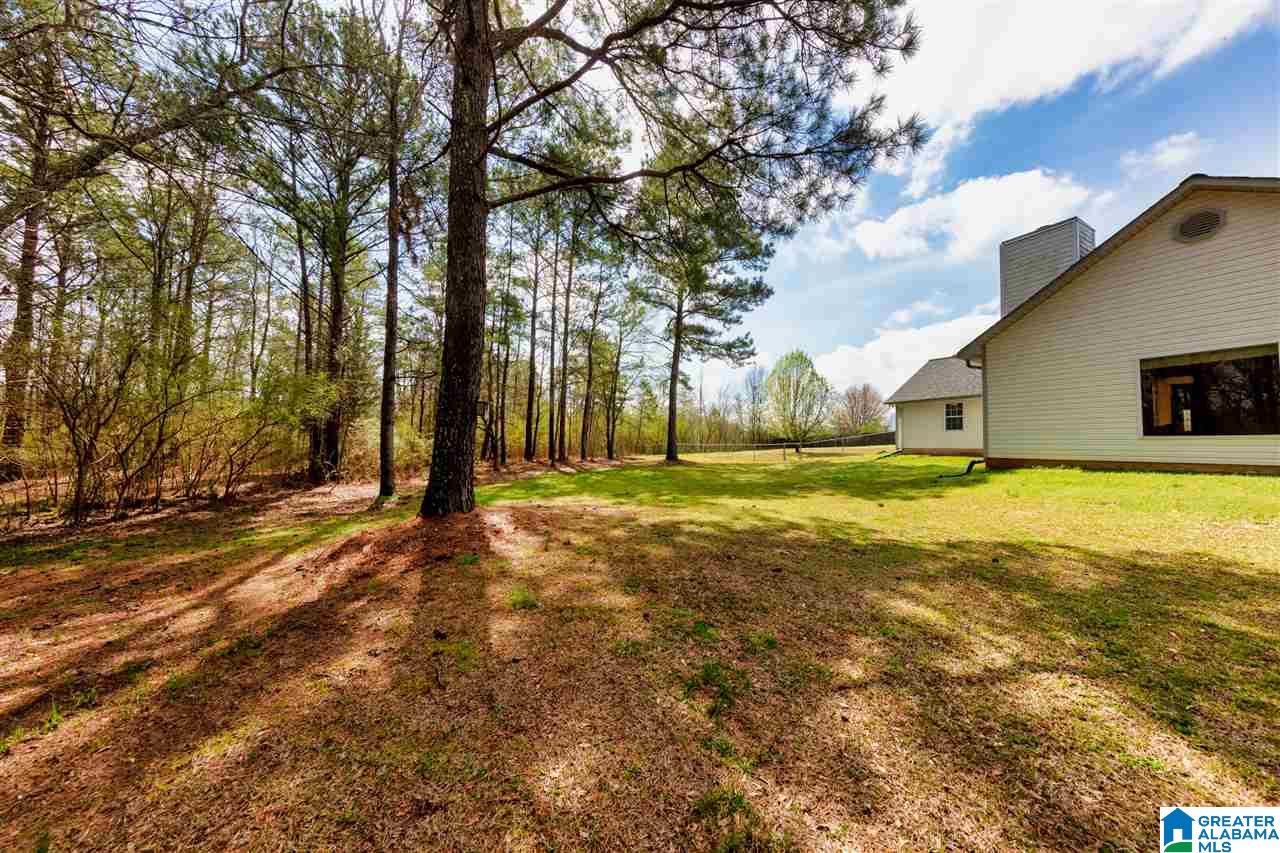 6401 Mays Bend Road Pell City, AL 35128 - Photo 9 of 39
