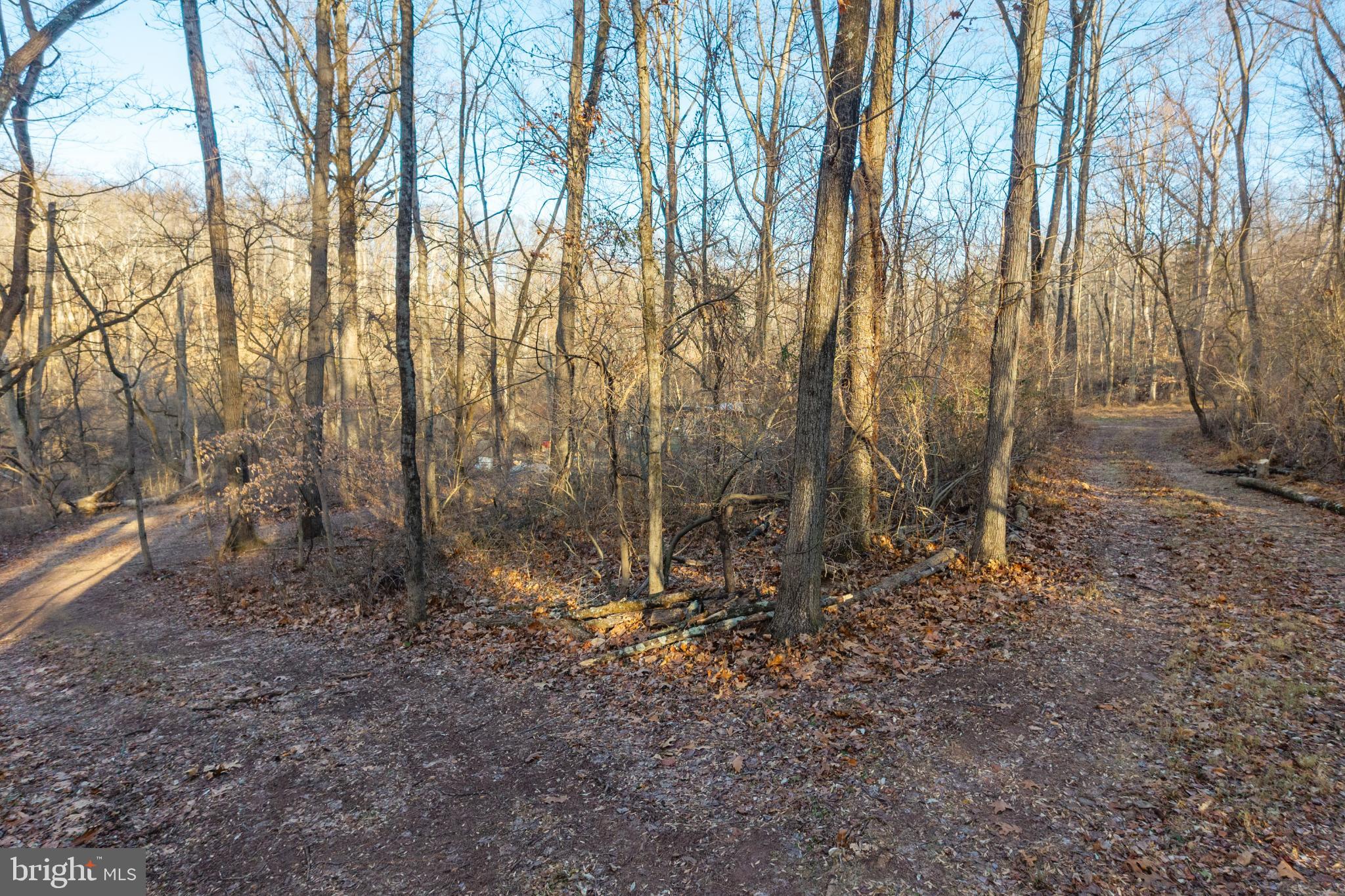 0 Sanatoga Road, Unit B Pottstown, PA 19464 - Photo 39 of 42 Serene woodland paths beckon exploration.
