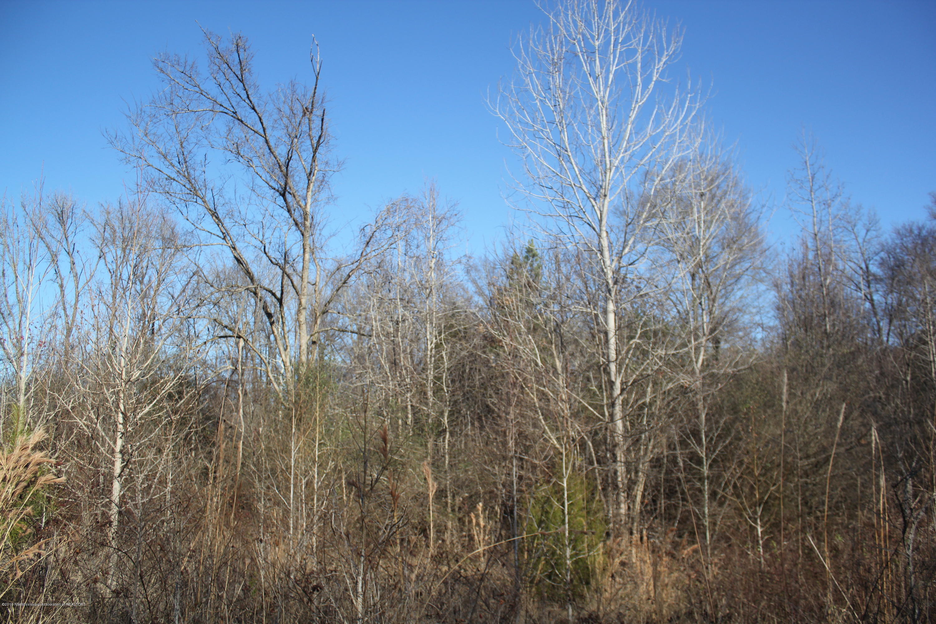 0 Bluegoose Road Sarah, MS 38665 - Photo 18 of 28 018