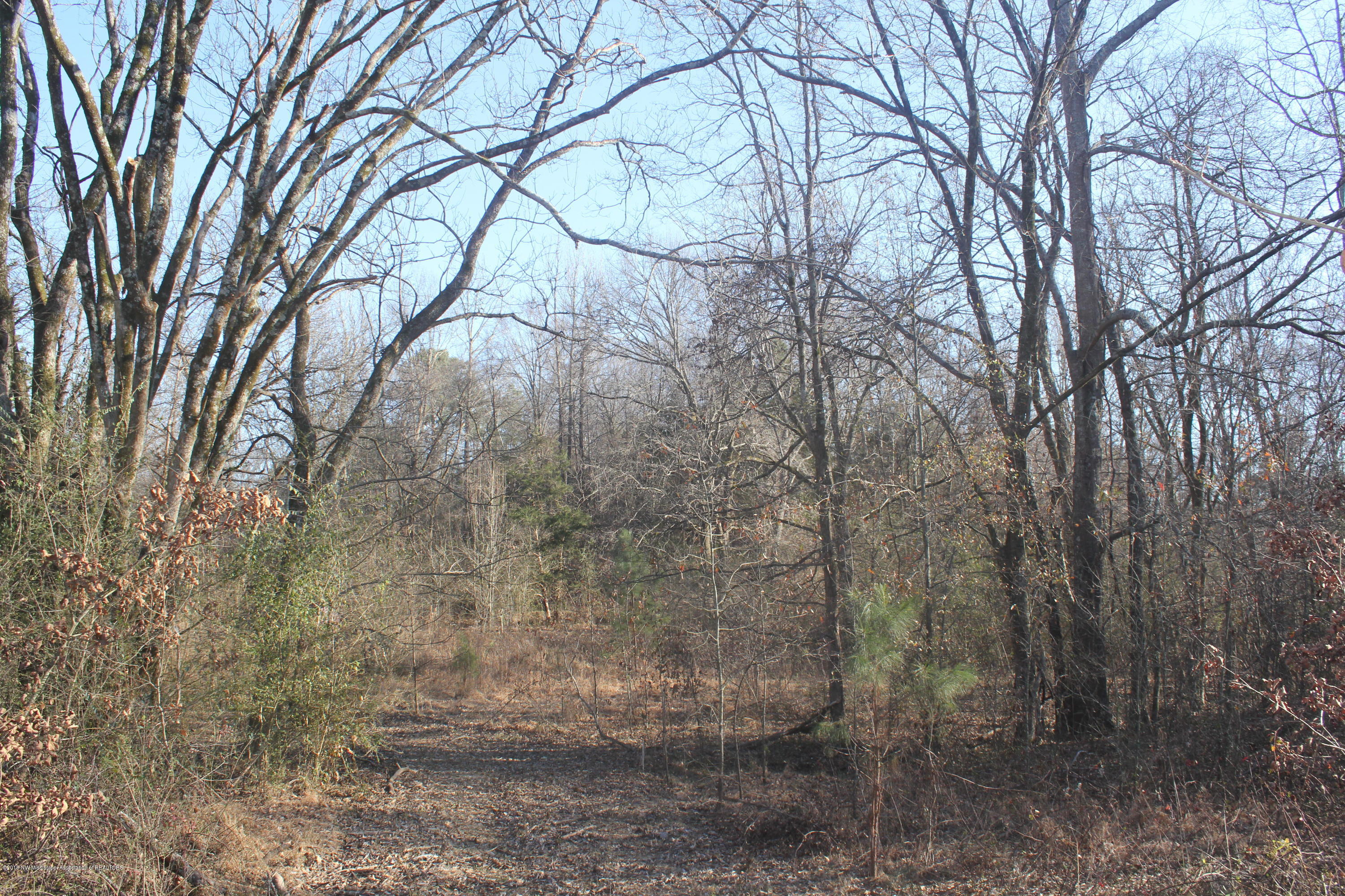 0 Bluegoose Road Sarah, MS 38665 - Photo 27 of 28 027