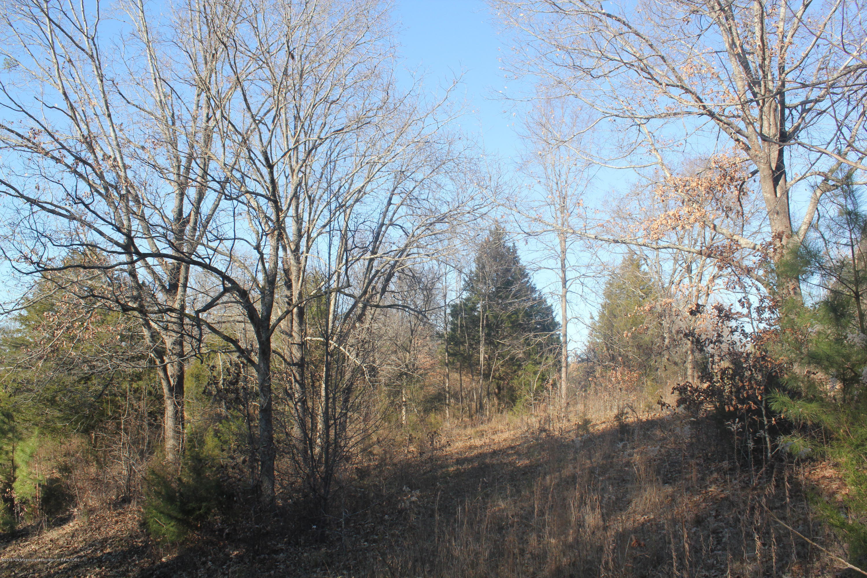 0 Bluegoose Road Sarah, MS 38665 - Photo 3 of 28 003