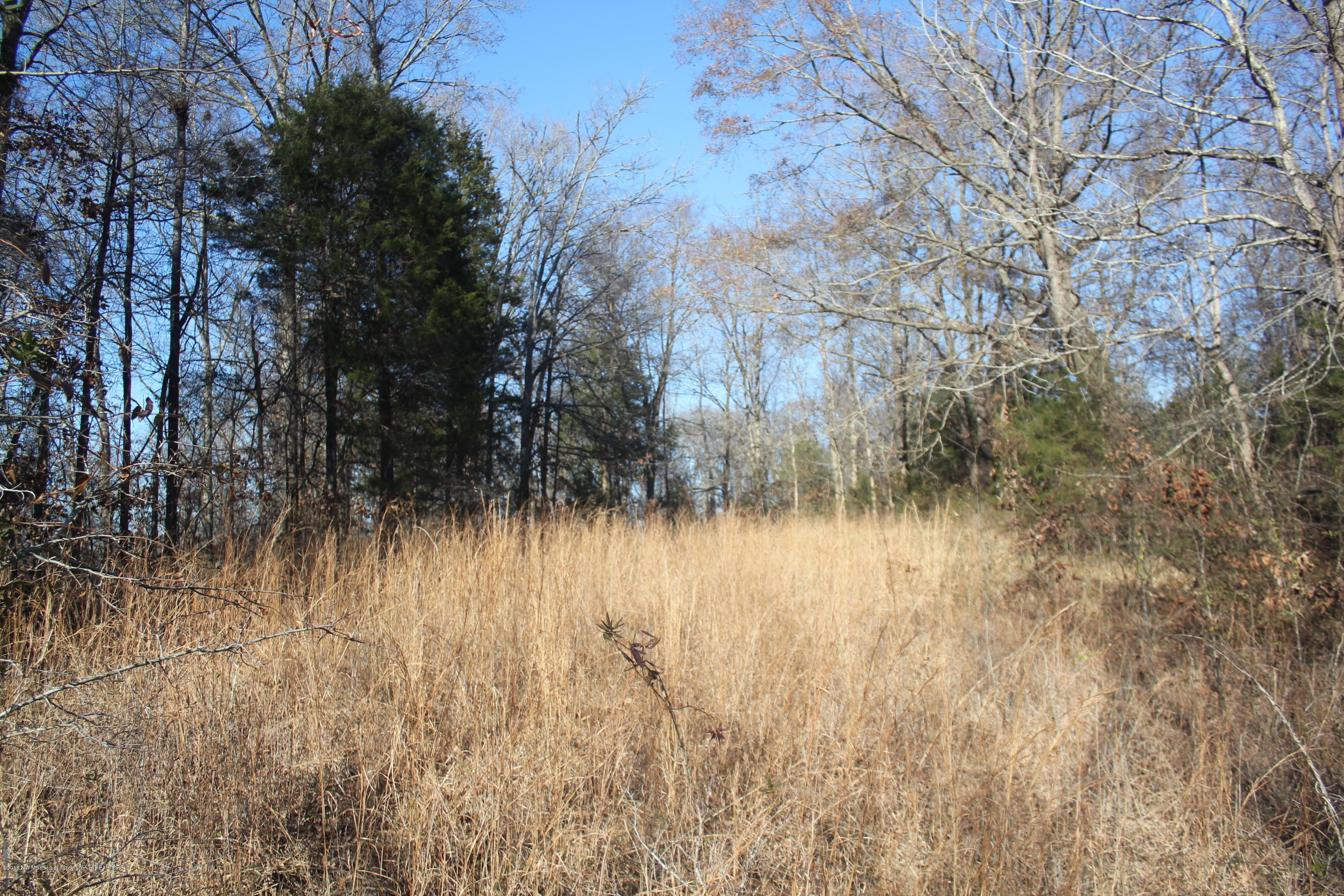 0 Bluegoose Road Sarah, MS 38665 - Photo 8 of 28 008