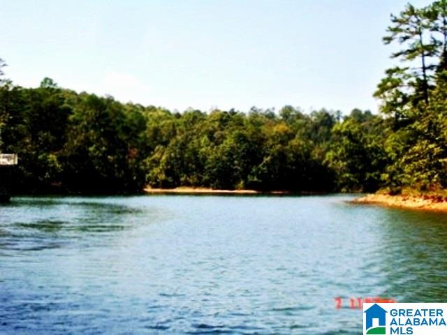 13 Dogwood Ridge, Unit 13 Wedowee, AL 36278 - Photo 1 of 3