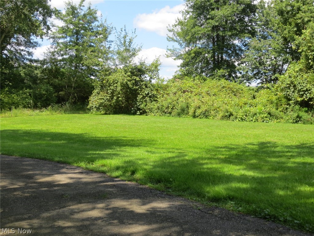 2076 Carson Salt Springs Road Warren, OH 44481 - Photo 14 of 17 Lovely backyard with fruit trees and grapes