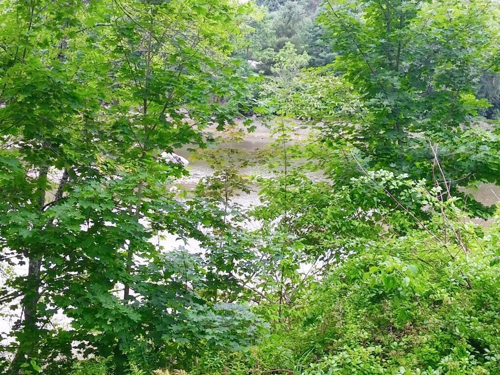 90 Riverside Drive Warren, ME 04864 - Photo 3 of 25 Photo
