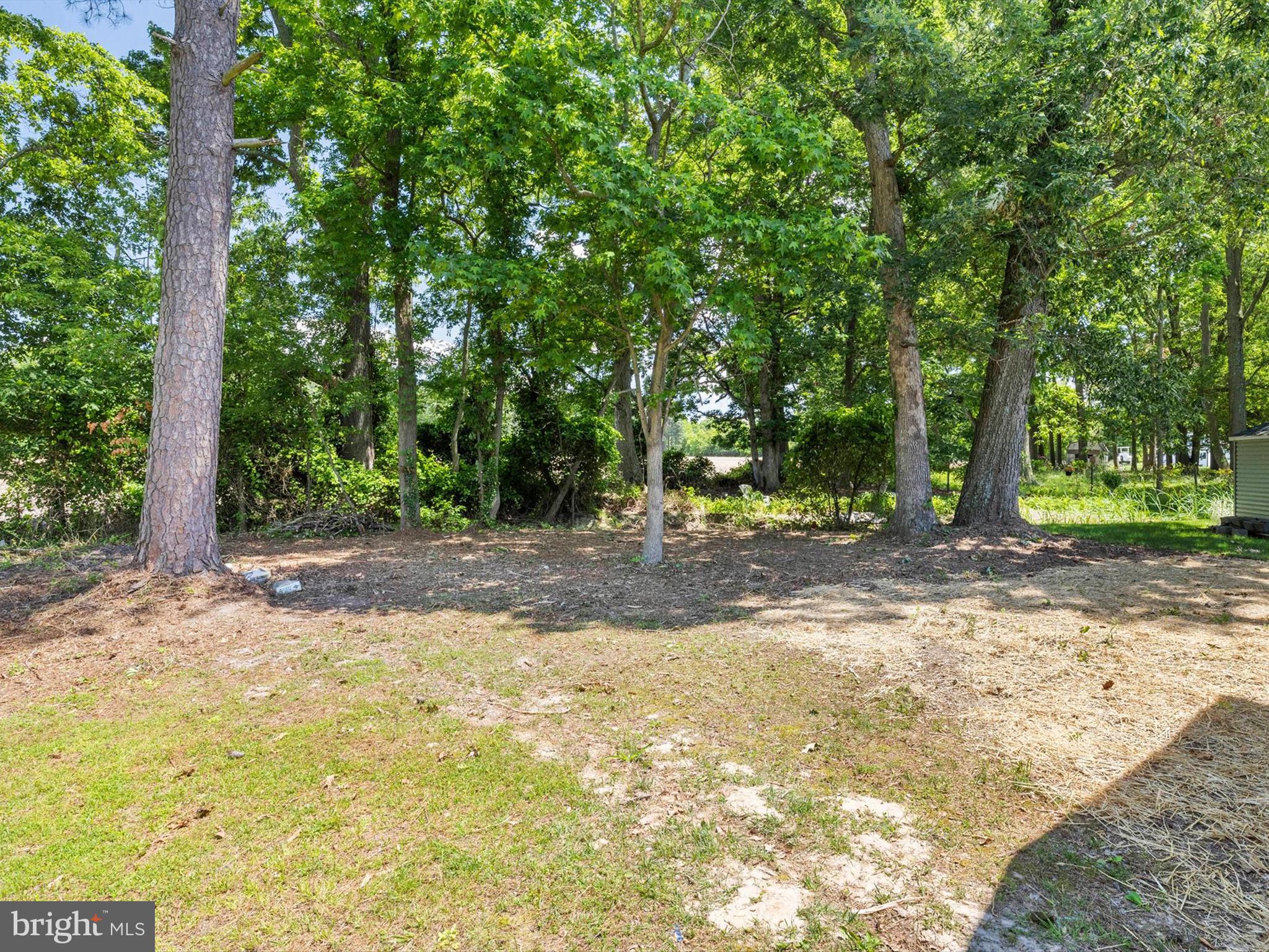 117 Wright Road Chester, MD 21619 - Photo 33 of 34