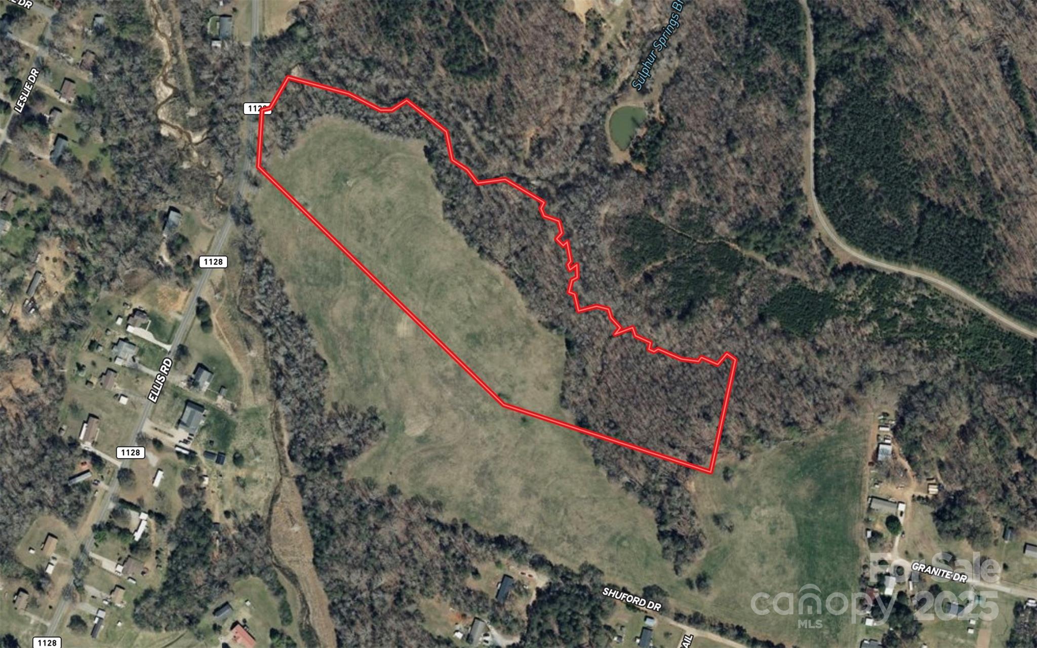 0 Ellis Road Moncure, NC 27559 - Photo 5 of 5