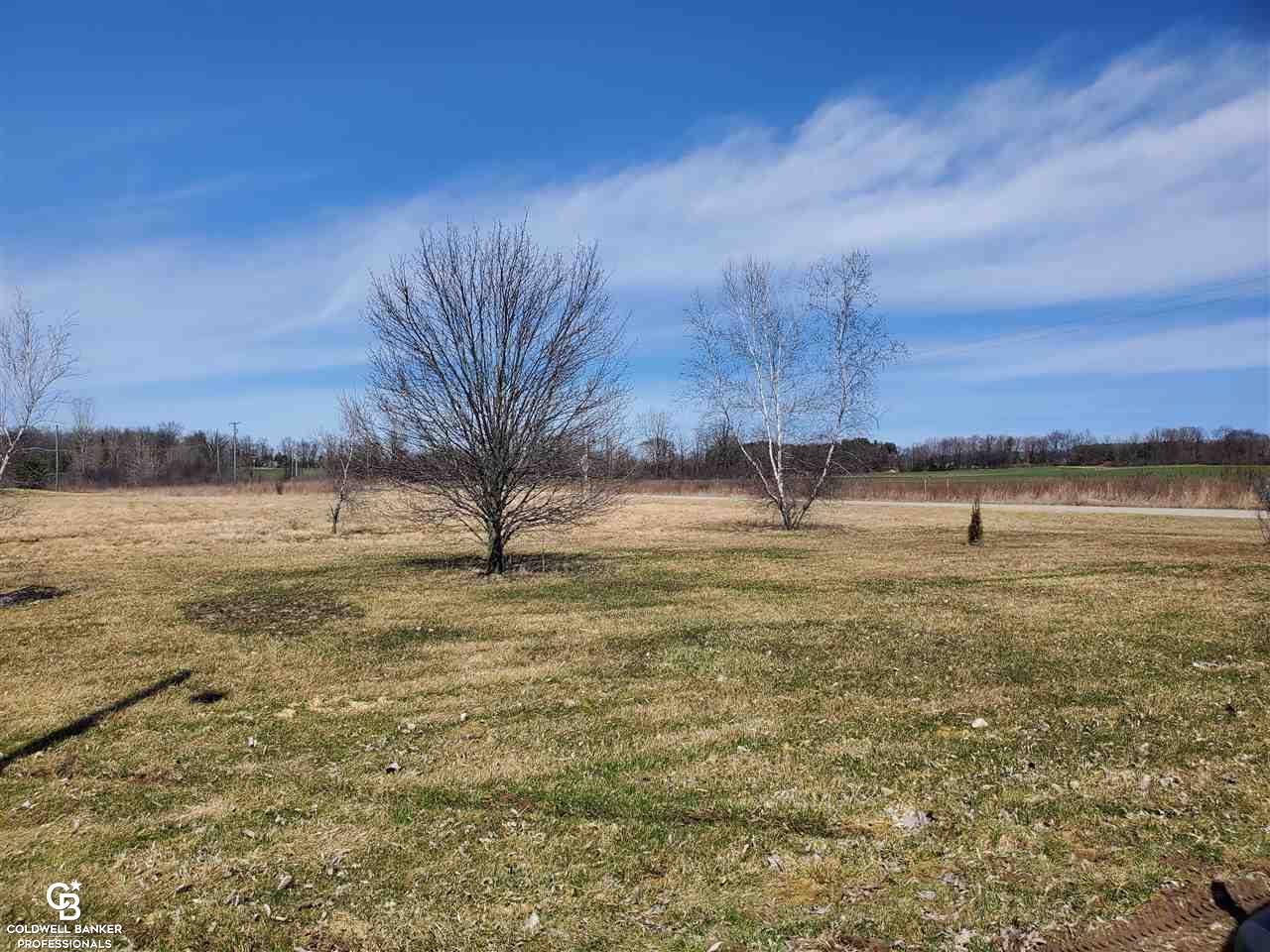 8029 Emmett Road Yale, MI 48097 - Photo 16 of 21