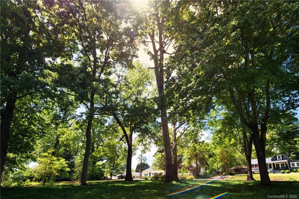 173 Callahan Street Rutherfordton, NC 28139 - Photo 4 of 25 a view of a yard with large trees