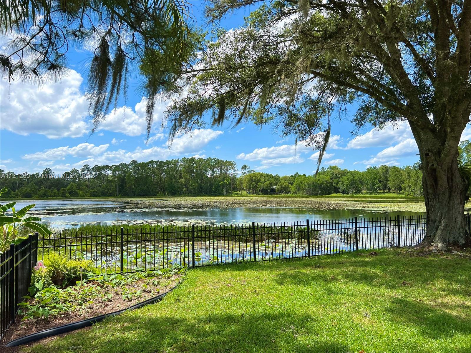 3052 Pine Cove Place Eustis, FL 32726 - Photo 30 of 32 a view of a lake with a big yard