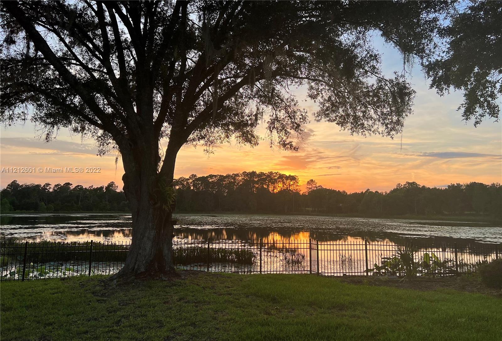 3052 Pine Cove Place Eustis, FL 32726 - Photo 31 of 32 a view of lake with green space