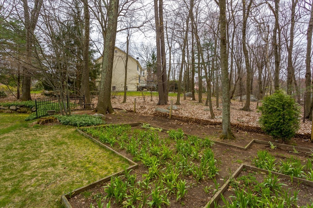 16 Carter Road Shrewsbury, MA 01545 - Photo 38 of 42 a backyard of a house with lots of green space