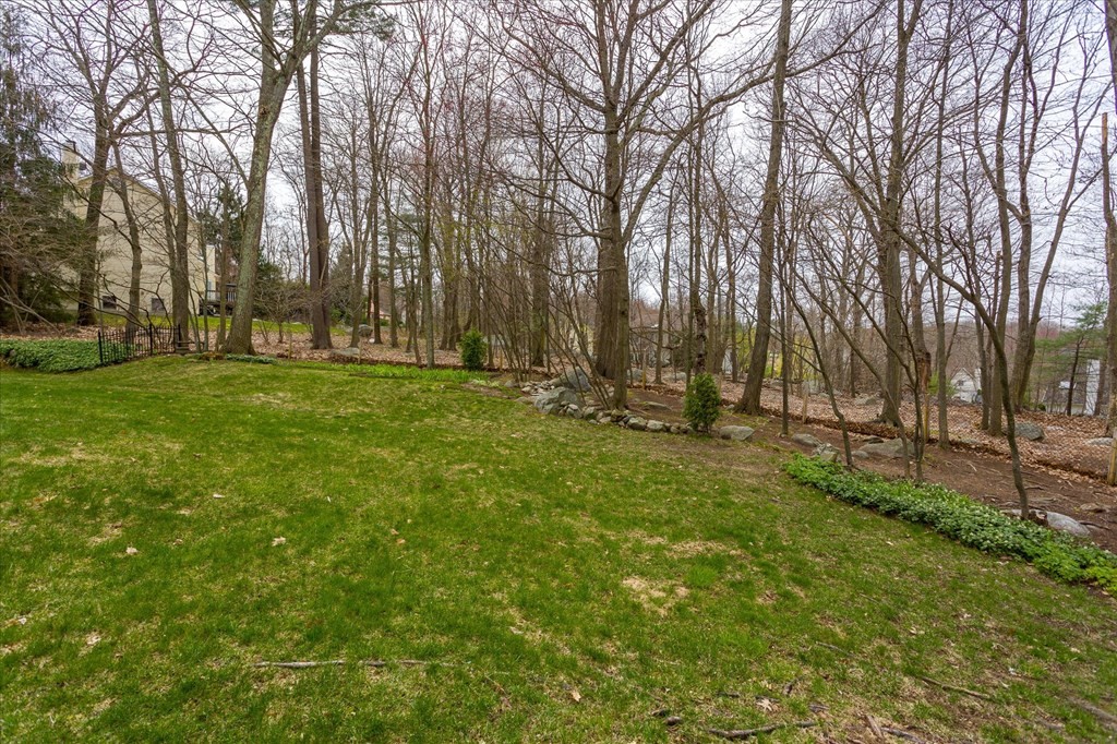 16 Carter Road Shrewsbury, MA 01545 - Photo 41 of 42 a view of a park with large trees