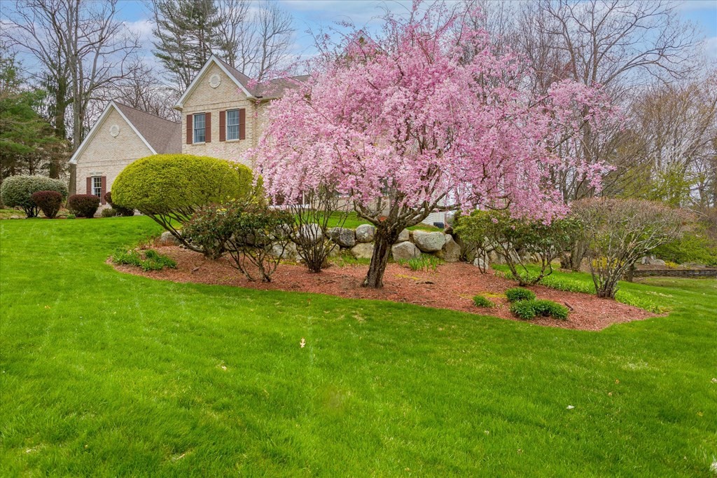 16 Carter Road Shrewsbury, MA 01545 - Photo 42 of 42 a front view of a house with garden