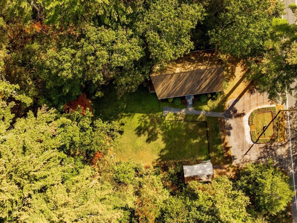 267 Carlisle Road Bedford, MA 01730 - Photo 28 of 32 a view of a yard with plants