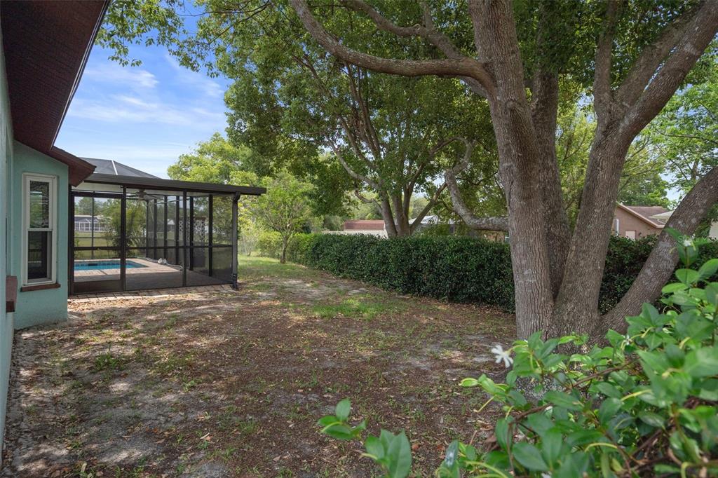 8332 Berkeley Manor Boulevard Spring Hill, FL 34606 - Photo 45 of 45 a view of backyard with green space