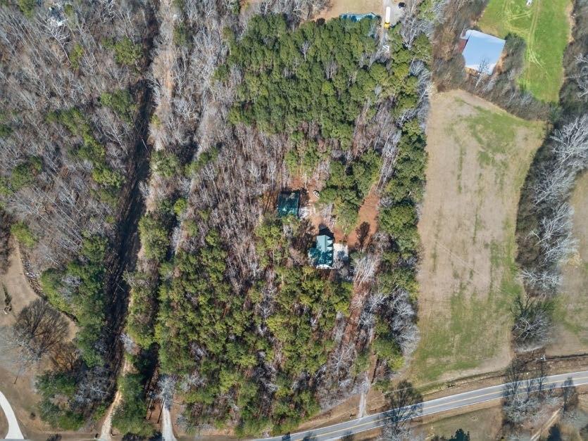 1800 Mandeville Road Bremen, GA 30110 - Photo 15 of 45 a view of a forest with a tree