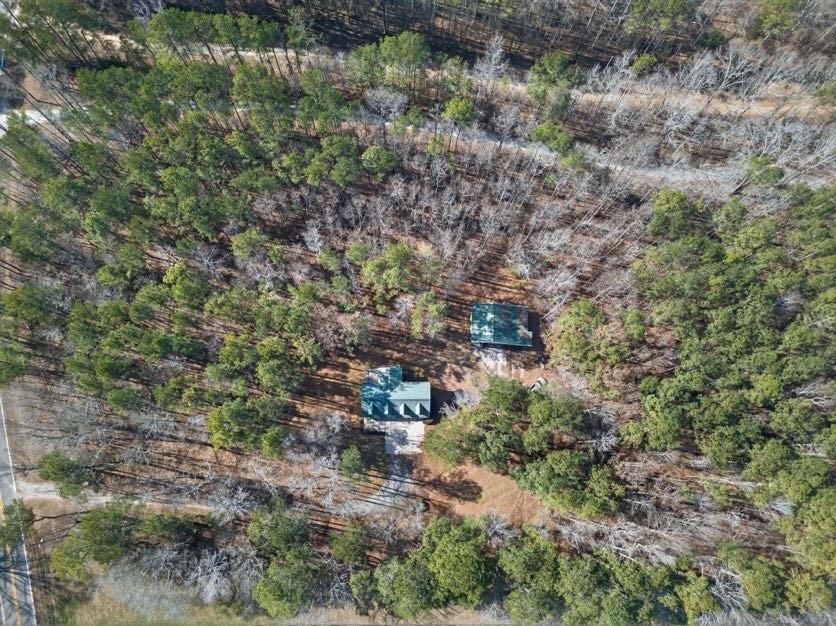 1800 Mandeville Road Bremen, GA 30110 - Photo 4 of 45 a view of a forest with a tree