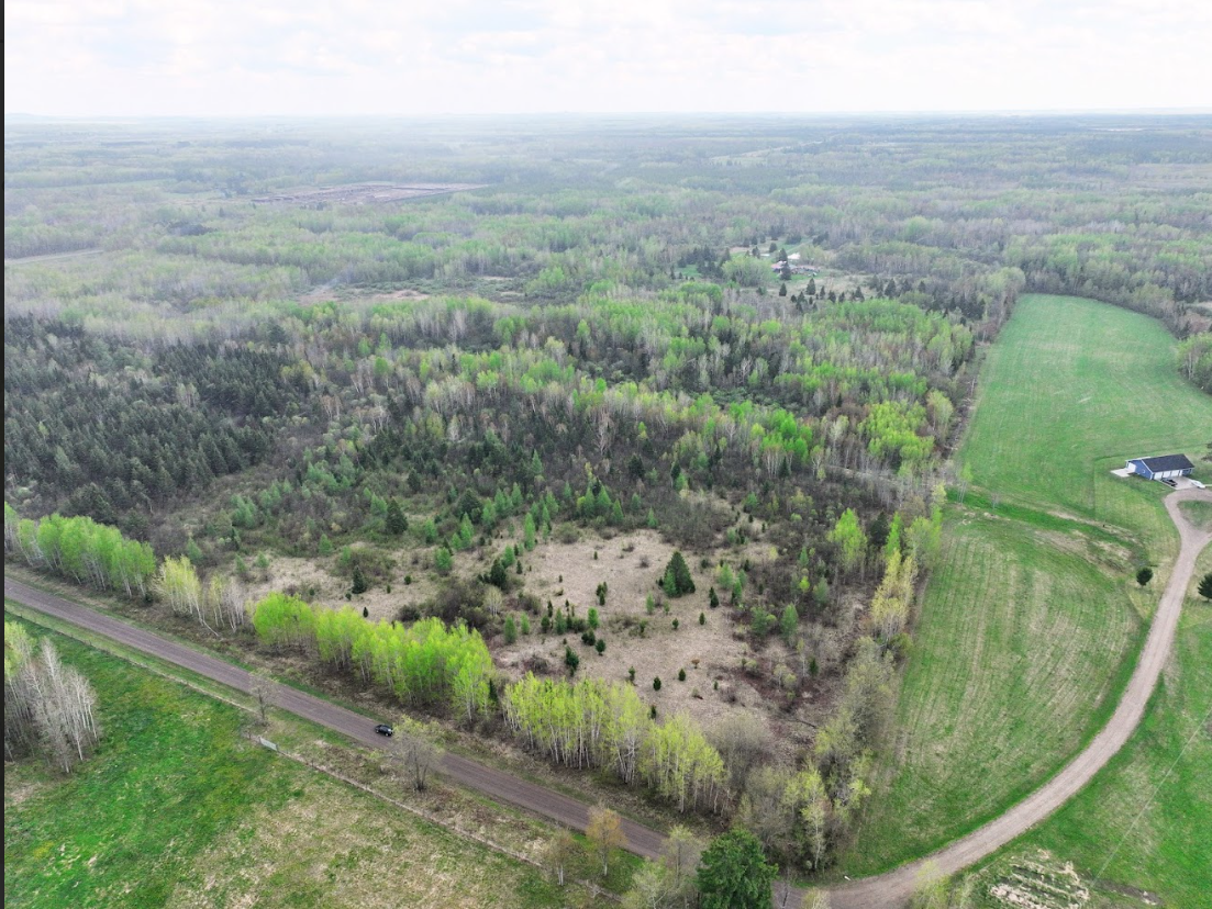 0 Fine Lakes Road Floodwood, MN 55736 - Photo 10 of 10