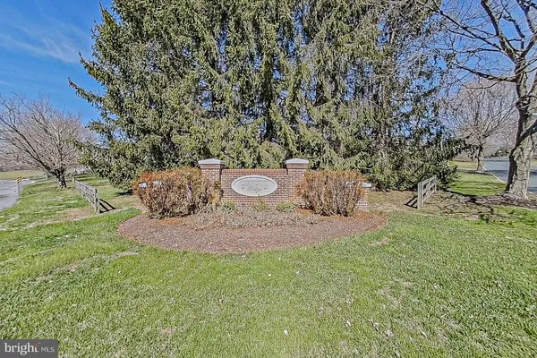 a view of a yard with an tree