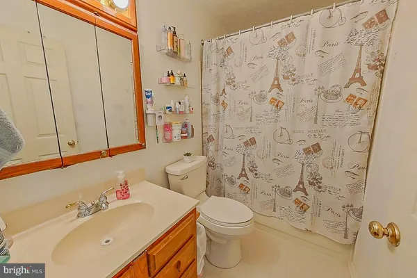 a bathroom with a sink a toilet and shower curtain