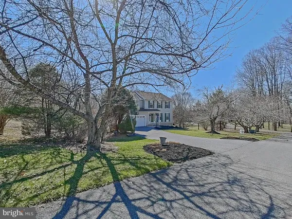 a view of a yard with plants and trees