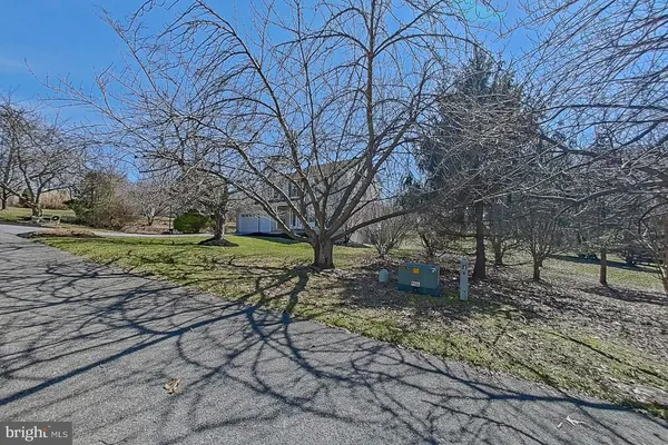 a view of a backyard with large trees