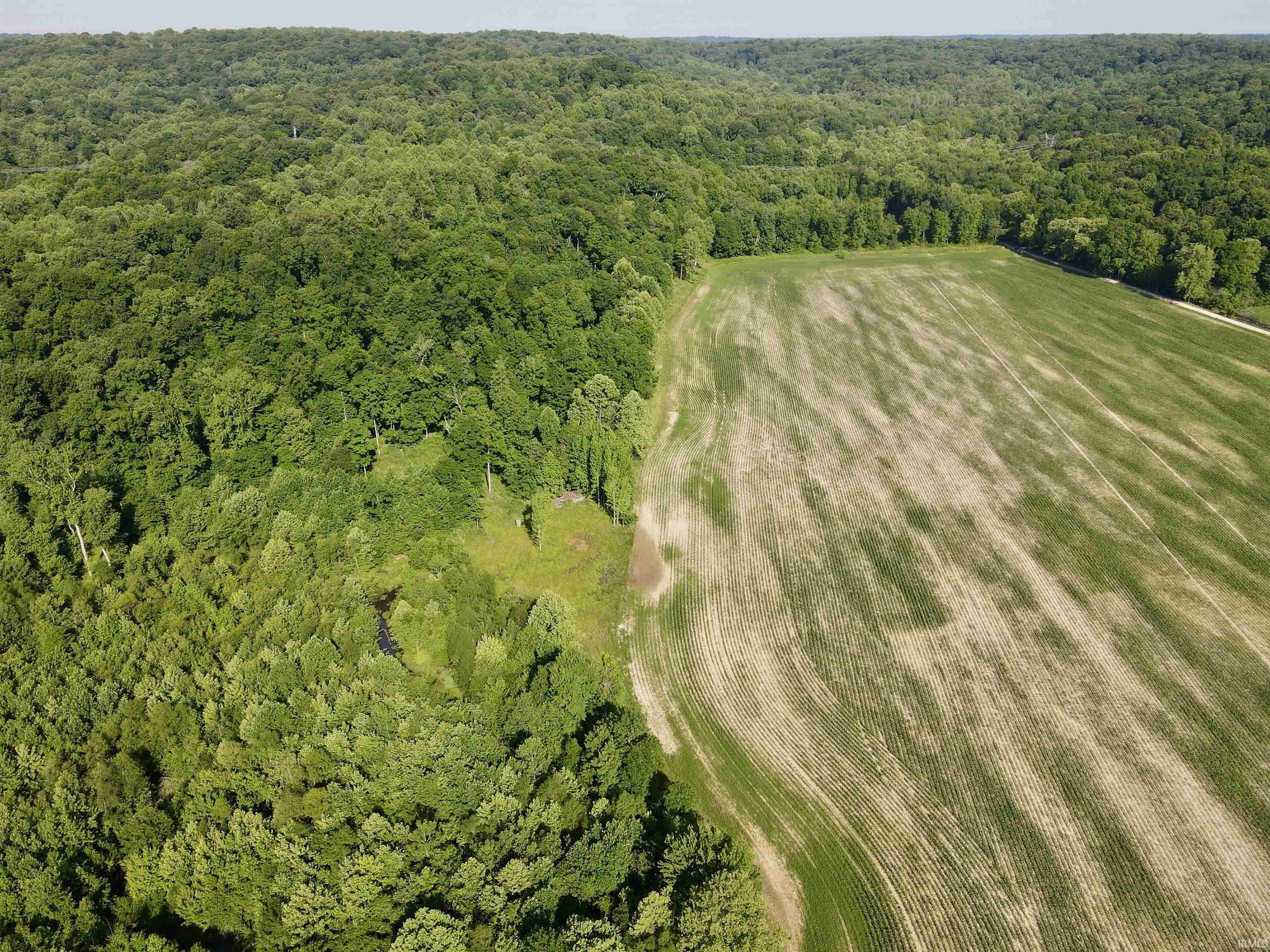 State Road Shoals, IN 47581 - Photo 8 of 25