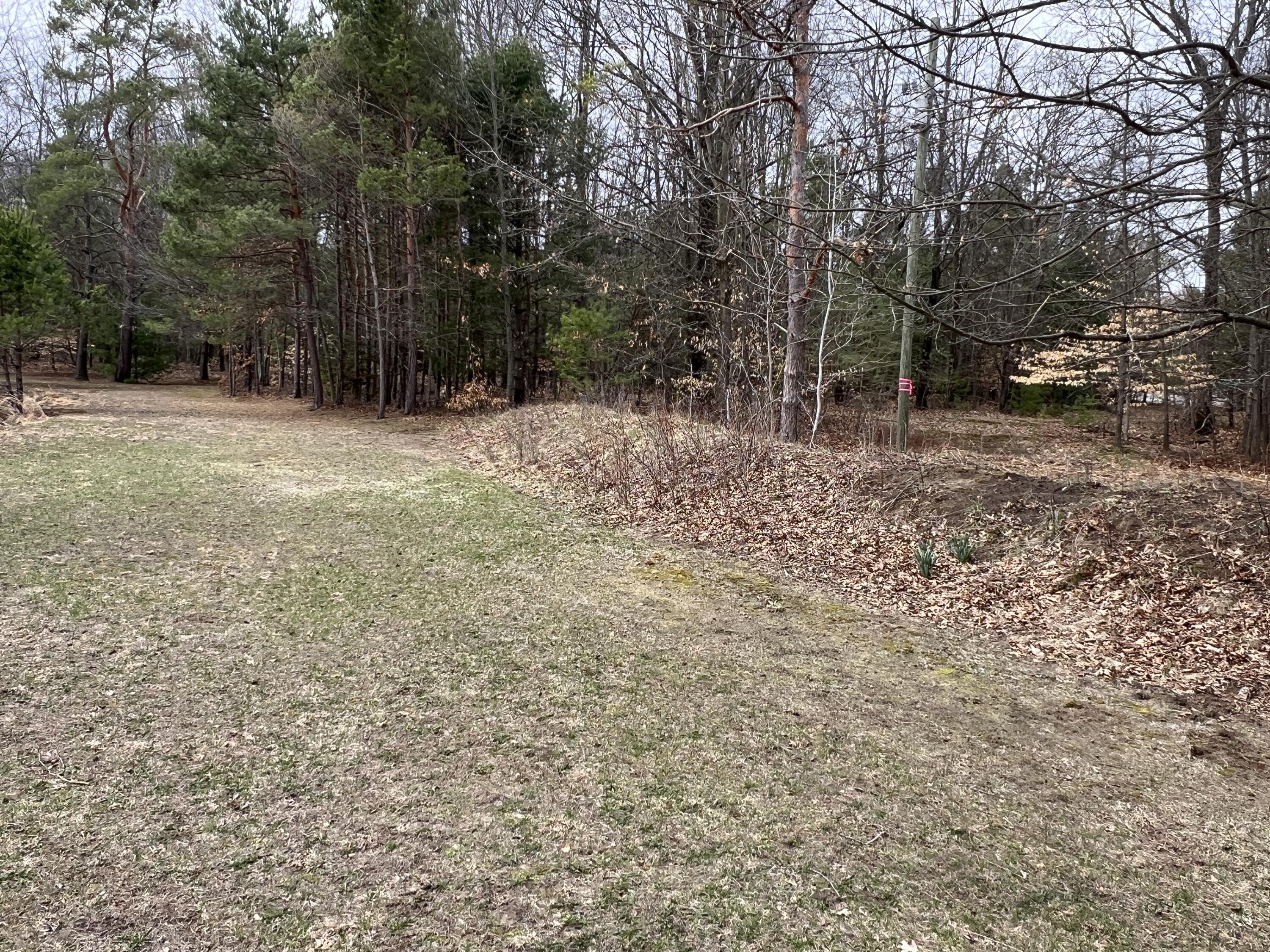 190 West Treml Road Free Soil, MI 49411 - Photo 51 of 52 IMG_8641