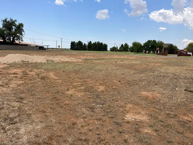 a view of a lake and trees