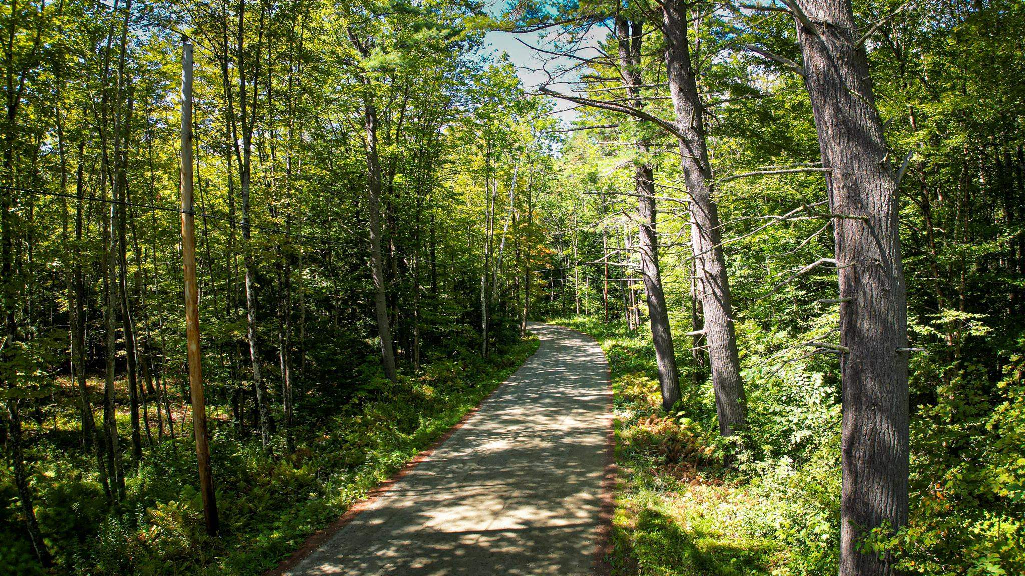 0 Camp Road Plainfield, NH 03781 - Photo 9 of 21