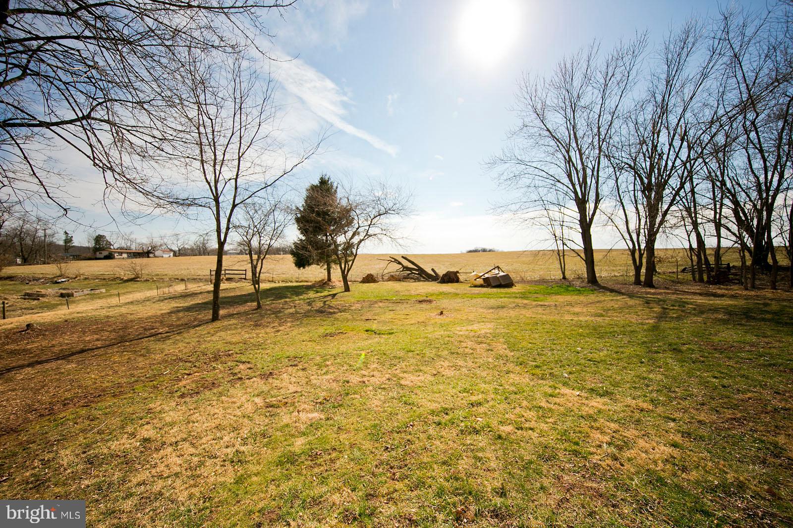 849 Redland Road Cross Junction, VA 22625 - Photo 5 of 8