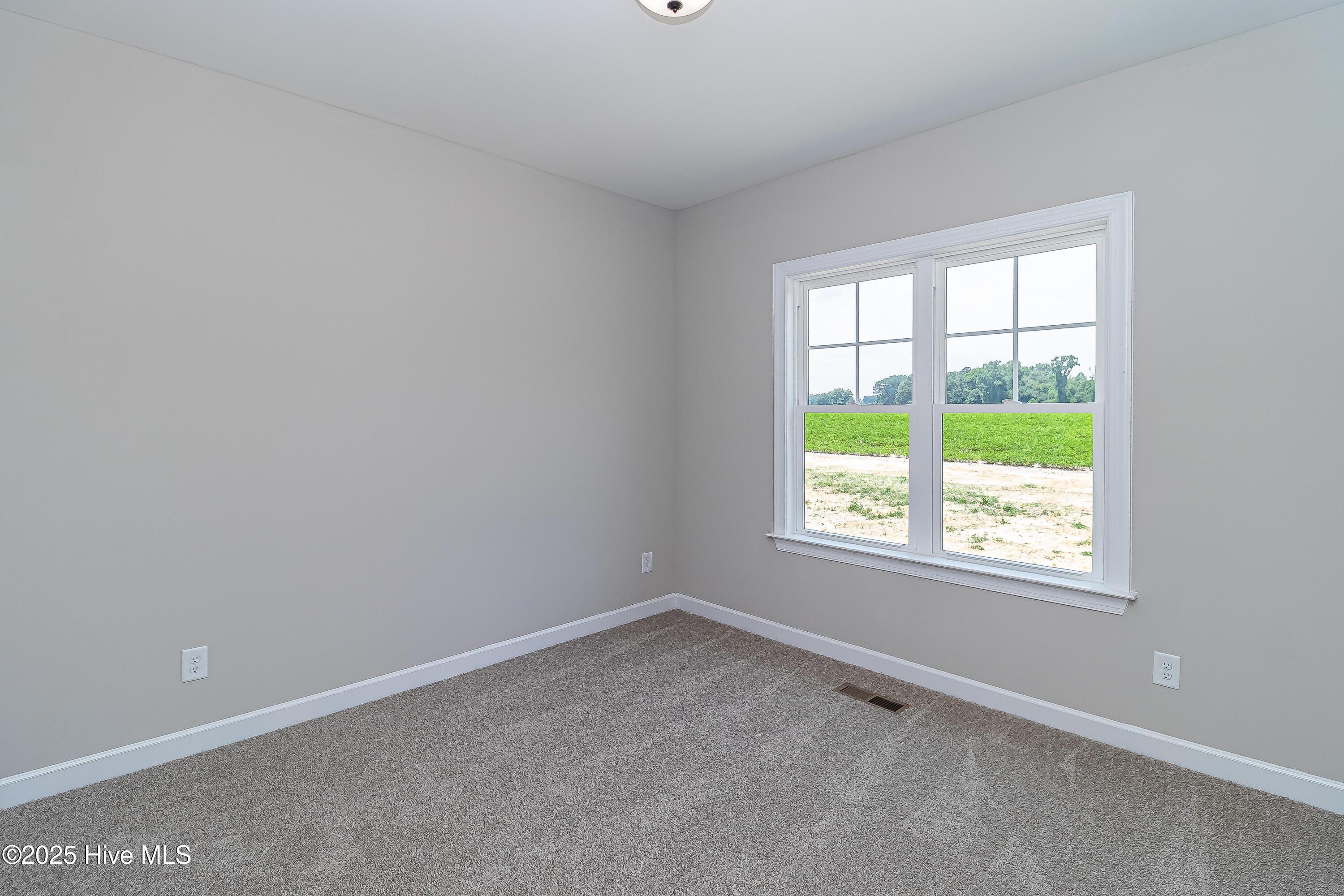 168 Clayton Road Princeton, NC 27569 - Photo 34 of 47 IMG_5002 - Copy