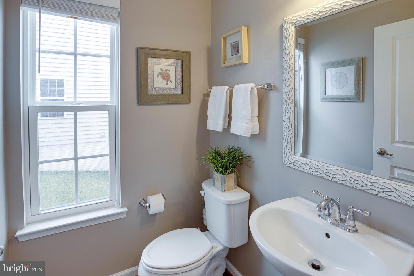 25833 Racing Sun Drive Aldie, VA 20105 - Photo 17 of 49