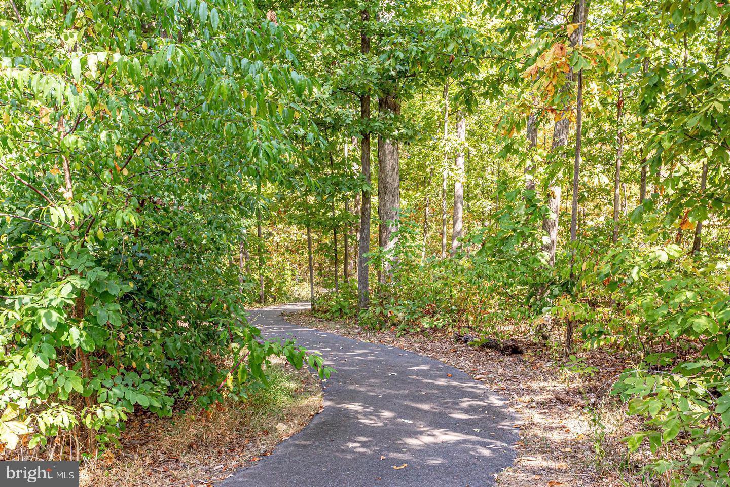 25833 Racing Sun Drive Aldie, VA 20105 - Photo 48 of 49