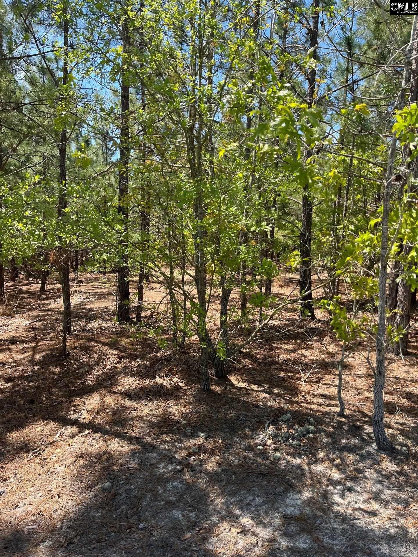 2 Beaver Dam Road Cassatt, SC 29032 - Photo 3 of 9