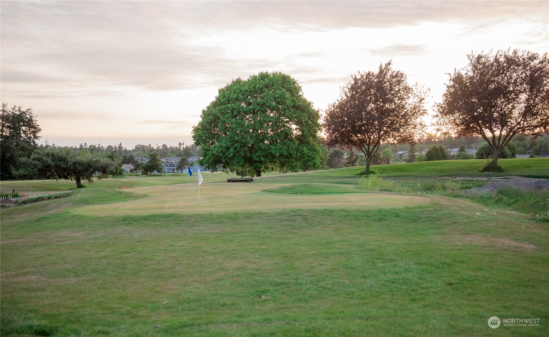 8142 Comox Loop Blaine, WA 98230 - Photo 12 of 17 a view of a grassy field with trees