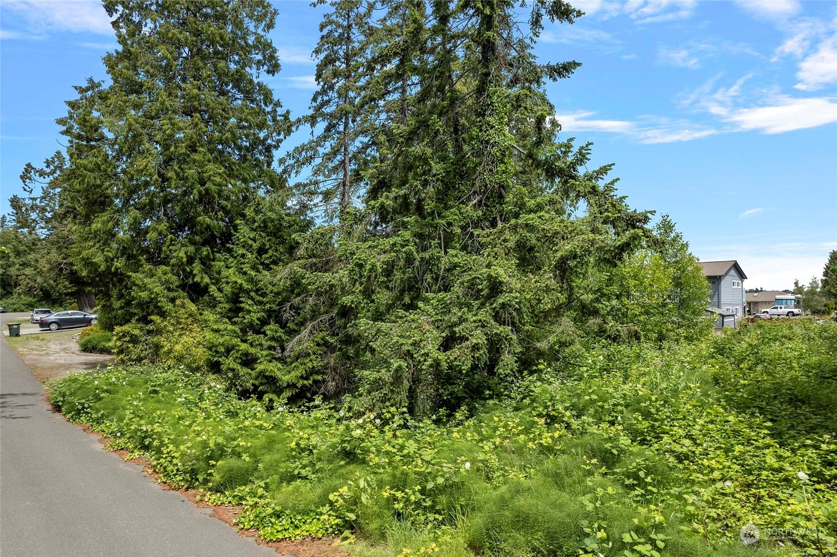 8142 Comox Loop Blaine, WA 98230 - Photo 2 of 17 a view of a garden with a tree