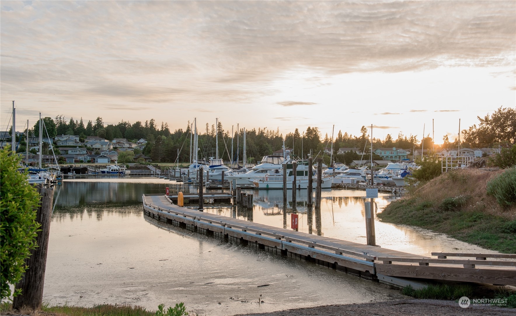 8142 Comox Loop Blaine, WA 98230 - Photo 8 of 17 a view of a lake with trees by side of it