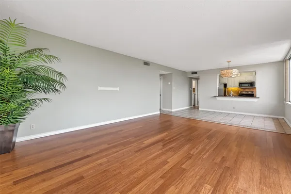a view of empty room with wooden floor and plant