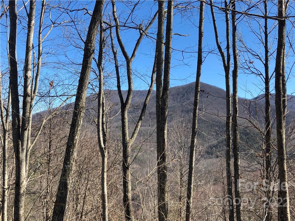 223 Flying Dutchman Road, Unit 223 Sylva, NC 28779 - Photo 2 of 19 a view of a yard