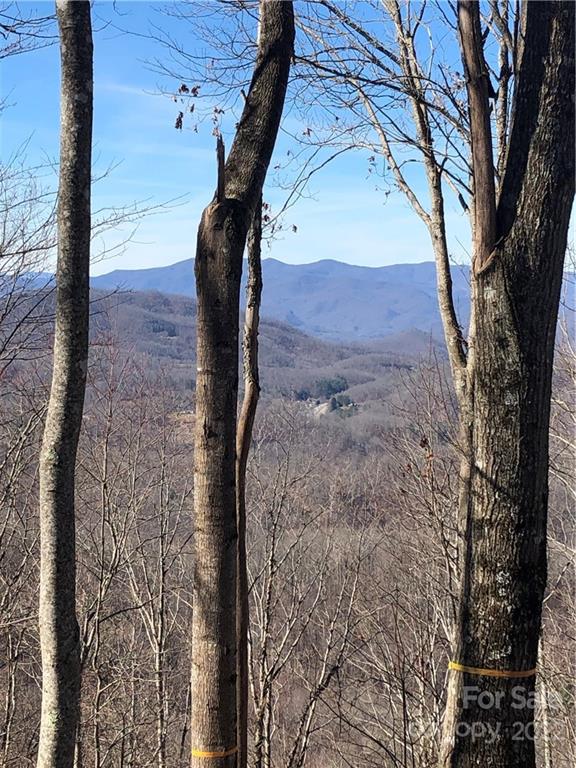 223 Flying Dutchman Road, Unit 223 Sylva, NC 28779 - Photo 3 of 19 a view of a yard