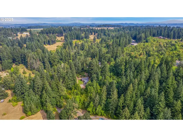 a black and white photo of a house