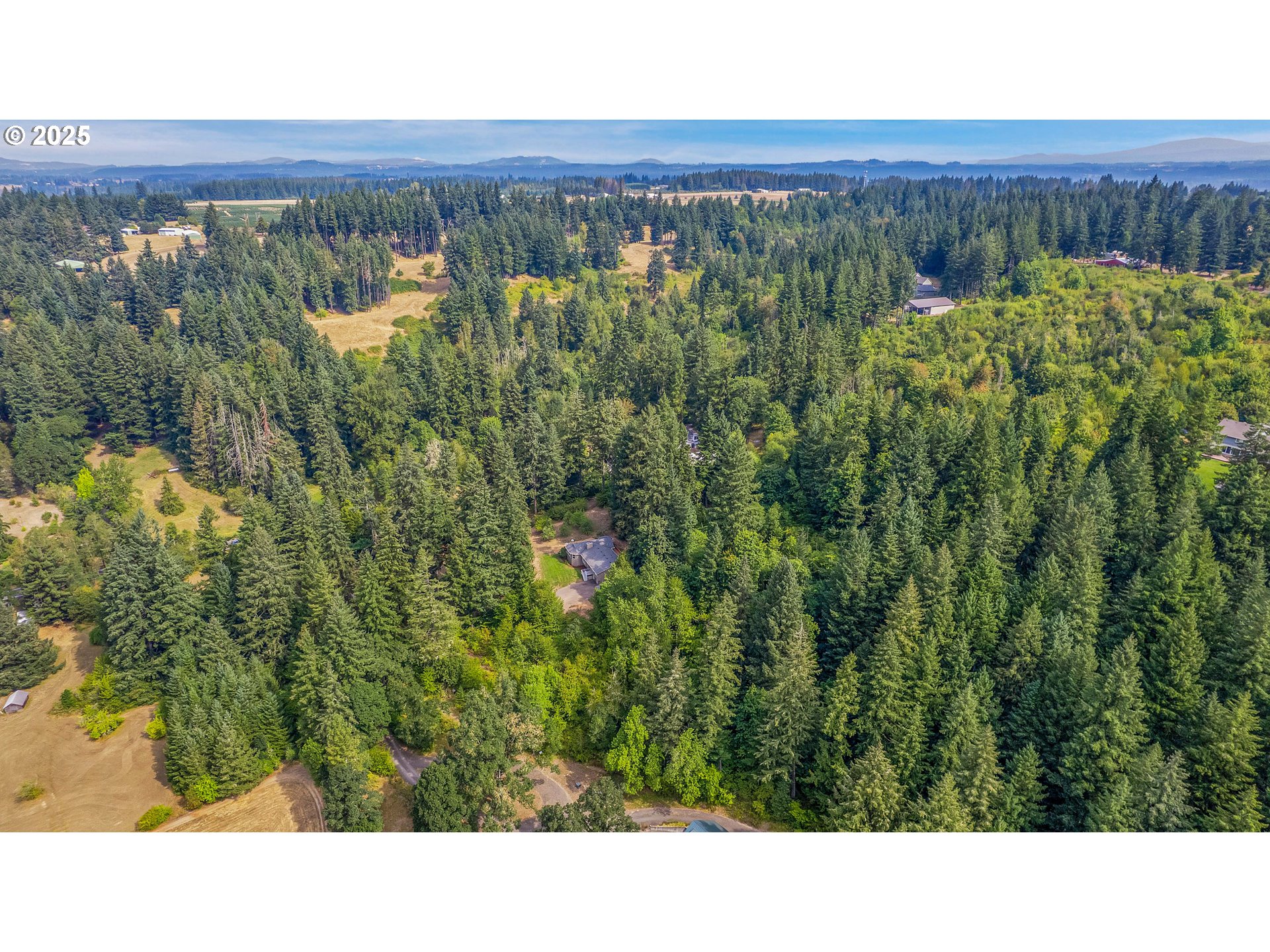 22486 South Redland Road Estacada, OR 97023 - Photo 9 of 46 a black and white photo of a forest