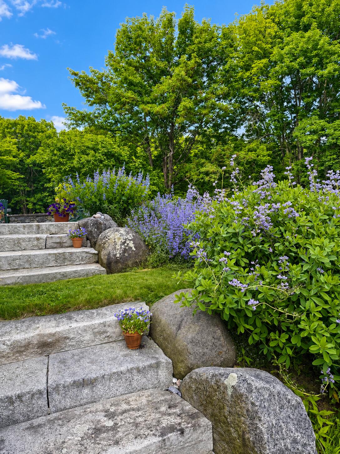 16 Brixham Road Eliot, ME 03903 - Photo 136 of 139 Flowers 6